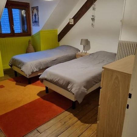Appartement Centre-Ville Colmar Esterno foto